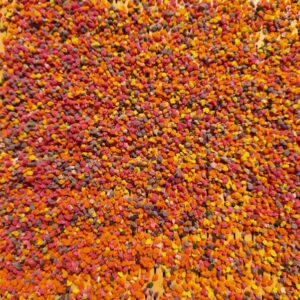 arı poleni (2026 hasat)